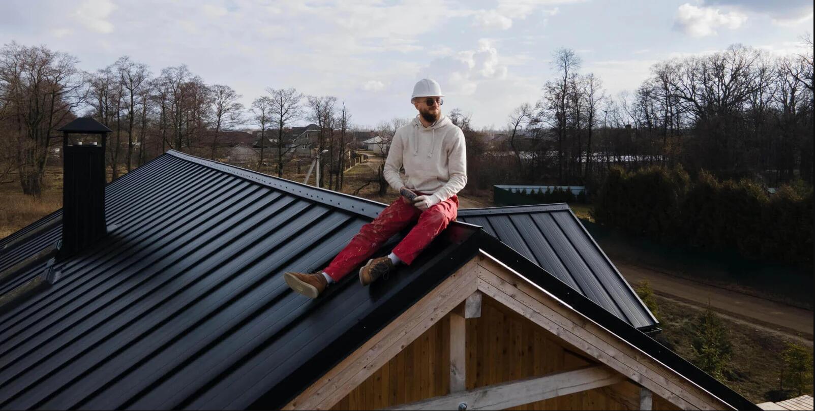 I am the Title I am a free bird