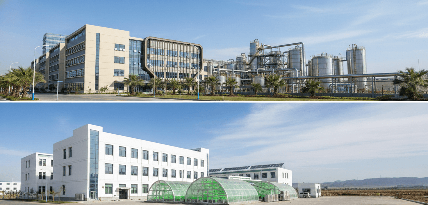 Sihya-Industrialized Plant - Zhuhai - Gansu.png